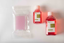 Load image into Gallery viewer, 3D InSight™ Beagle Dog Liver Microtissues  (Akura™ 96 plate format - 1 microtissue per well (2x), with 250 ml (1x) of species-specific medium)