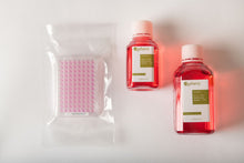 Load image into Gallery viewer, 3D InSight™ C57BL/6 Mouse Liver Microtissues  (Akura™ 96 plate format - 1 microtissue per well (2x), with 250 ml (1x) of species-specific medium)