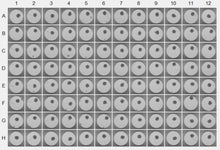 Load image into Gallery viewer, 3D InSight™ Beagle Dog Liver Microtissues (2x Akura™ 96 plate format + 1x 250 ml dog-specific medium)