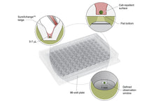 Load image into Gallery viewer, Akura™ 96 Spheroid Microplate (5/pack)