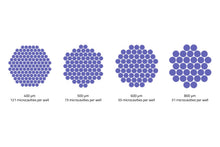 Load image into Gallery viewer, Gri3D® Hydrogel Microcavity Plate - Plastic
