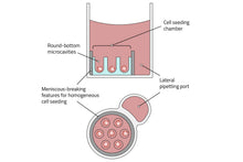 Load image into Gallery viewer, Gri3D® Hydrogel Microcavity Plate - Plastic