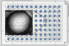 Load image into Gallery viewer, Gri3D® Hydrogel Microcavity Plate - Plastic