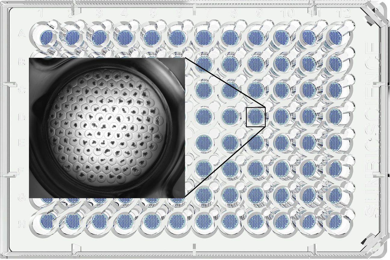 Gri3D® Hydrogel Organoid Plates – InSphero