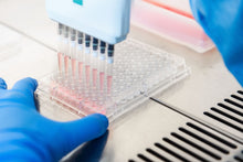 Load image into Gallery viewer, Gri3D® Hydrogel Microcavity Plate - Plastic