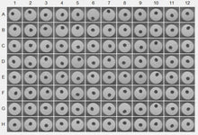 Load image into Gallery viewer, 3D InSight™ Human Liver Microtissues (1x Akura™ 96 plate format + 1x 250 ml specific medium)
