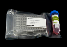 Load image into Gallery viewer, ARCTis™ Human Tumor CryoKit Starter (suspension, std, mono) 96x - HCT116 / A549 / T-47D
