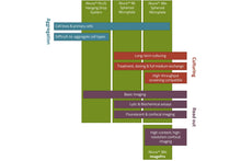 Load image into Gallery viewer, Akura™ 384 ImagePro (10/pack)