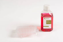 Load image into Gallery viewer, 3D InSight™ C57BL/6 Mouse Liver Microtissues (2x Akura™ 96 plate format + 1x 250 ml mouse-specific medium)