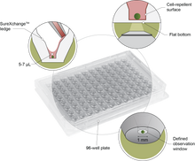 Load image into Gallery viewer, An infographic of the Akura™ 96 Spheroid Microplate showing the specification of the well plate