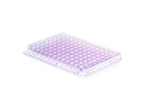 InSphero's Akura 96 Well Cell Culture Plate