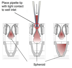 an infographic of a spheroid transfer using the Akura PLUS Hanging Drop System